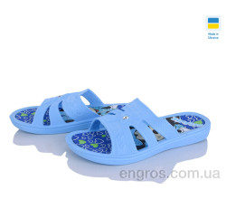 Шлепки Golden Lion